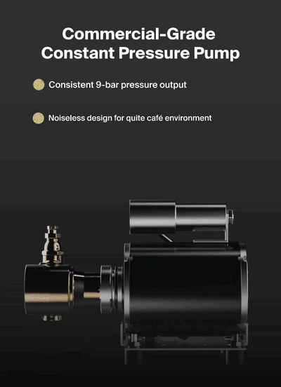 Wendougee Sdragon – Commercial Espresso Machine for a Small Coffee Business